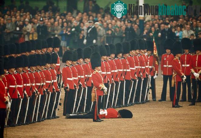 Đội cảnh vệ Ireland vẫn giữ nguyên tư thế đứng nghiêm ngay cả khi một người trong đội bị ngất xỉu. Ảnh chụp tại thủ đô London, Anh, tháng 6/1966.&nbsp;(Ảnh: James P.Blair)