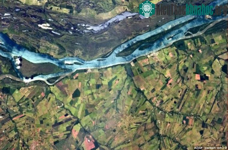 Một dòng sông xanh nổi bật trên những ruộng lúa xanh ngát tại Brazil.