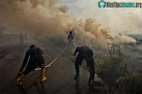 Lực lượng cứu hỏa nỗ lực dập một đám cháy.