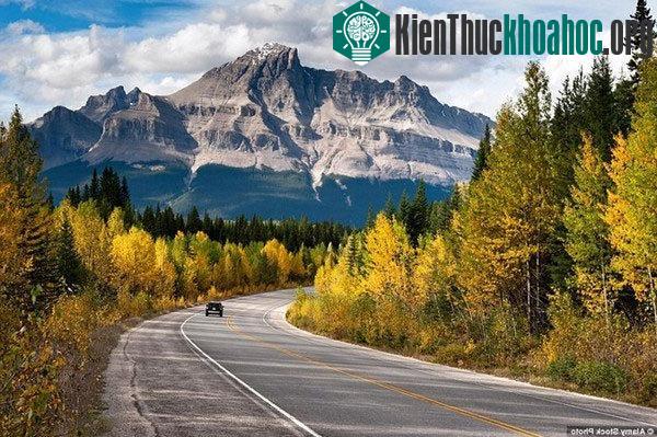 Những bức tranh "mùa thu vàng" tuyệt đẹp ở các nước- ảnh 8