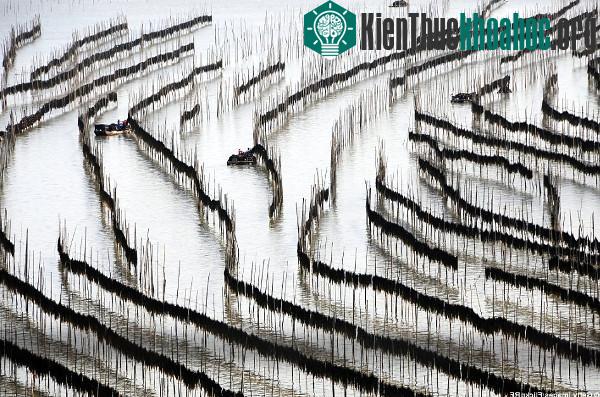 Cảnh đẹp thần tiên của Trung Quốc trên báo Anh- ảnh 8