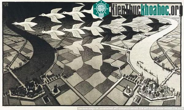 Tranh sáng tranh tối - đâu mới là chim thật? (Tác phẩm Ngày và đêm - Day and Night - 1938)