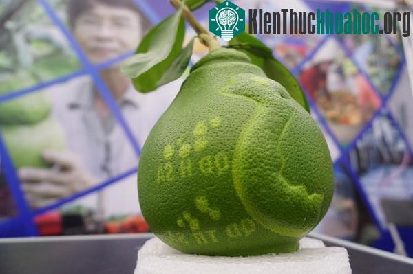 Nông dân "trình diễn" sản phẩm tại chợ khoa học