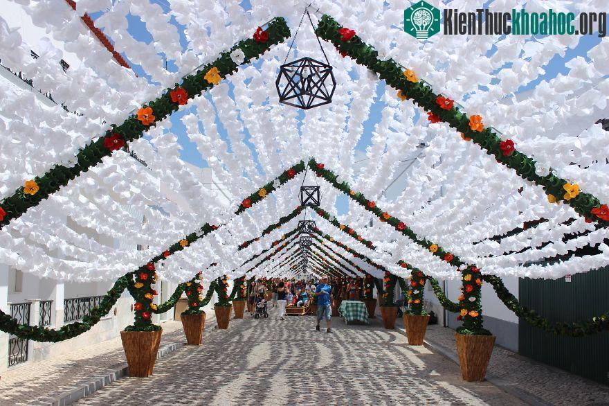 Độc đáo con đường phủ đầy hoa giấy ở Bồ Đào Nha