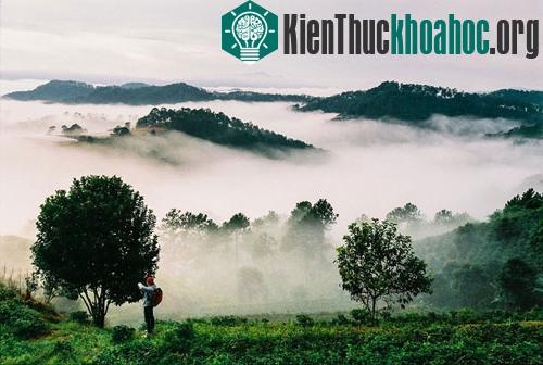 Ngỡ ngàng vẻ đẹp hút hồn của Đà Lạt trong mây