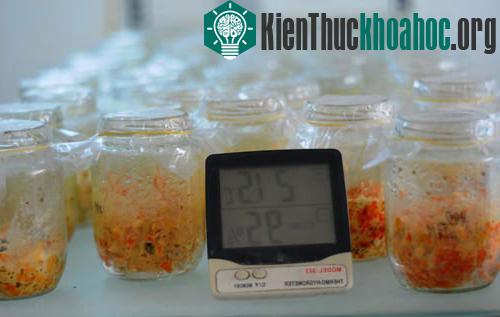 Phòng thí nghiệm luôn để nhiệt độ từ 20 – 21 độ C