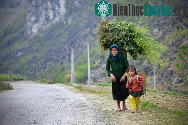 "Theo mẹ" của Trương Thanh Tuấn. Cuộc sống của những em nhỏ vùng miền núi cao phía Bắc luôn gắn liền với những vất vả thiếu thốn. Hàng ngày em phải theo phụ mẹ để mưu sinh thay vì cắp sác...