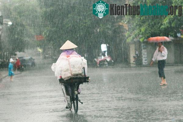 Lững thững bước qua từng con phố, bất kể ngày nắng hay mưa, bất kể mùa đông lạnh cắt da cắt thịt, hay mùa hạ với cái nắng nóng bỏng rát vai gầy, những người gánh hàng rong vẫn mải miết gồng mình vớ...