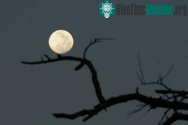 Ở Lusaka, Zambia - (Ảnh: news.cn)