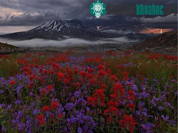 Bức ảnh chụp tại núi St Helens, Washington này giúp nhiếp ảnh gia Miles Morgan trở thành người chiến thắng trong hạng mục "Nước Mỹ của tôi".