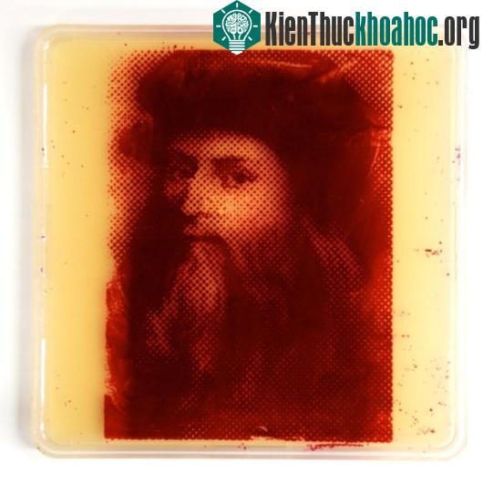 Chân dung họa sĩ thiên tài Leonardo Da Vinci.