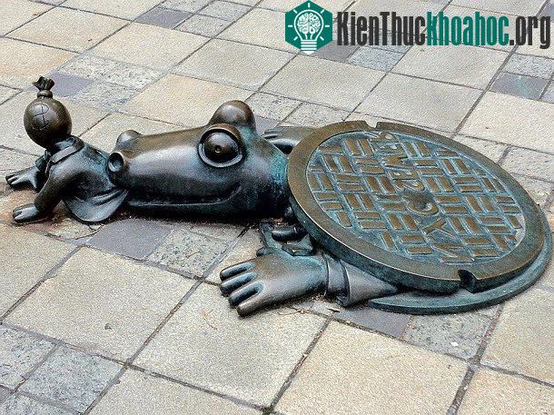 Một con cá sấu đói chui ra khỏi cống và vồ lấy một đứa bé ở Brooklyn, New York, Mỹ