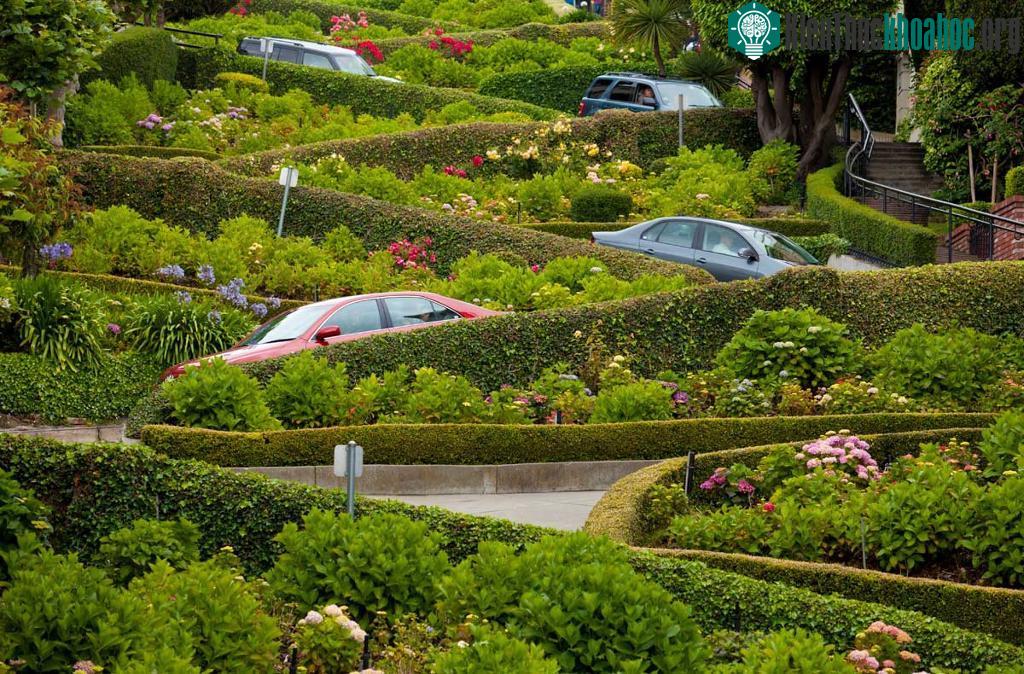 Đường ngoằn ngoèo nhất thế giới Lombard, Mỹ