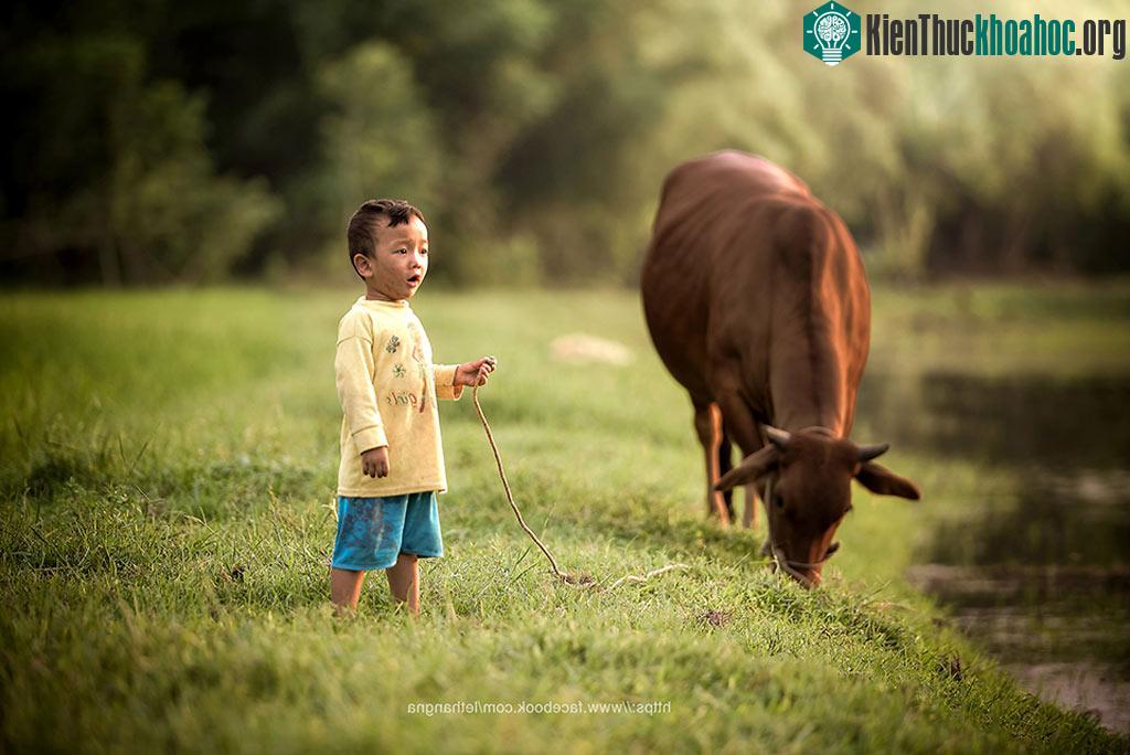 Trong ánh mắt trẻ thơ, cuộc sống luôn đầy màu sắc và kỳ diệu