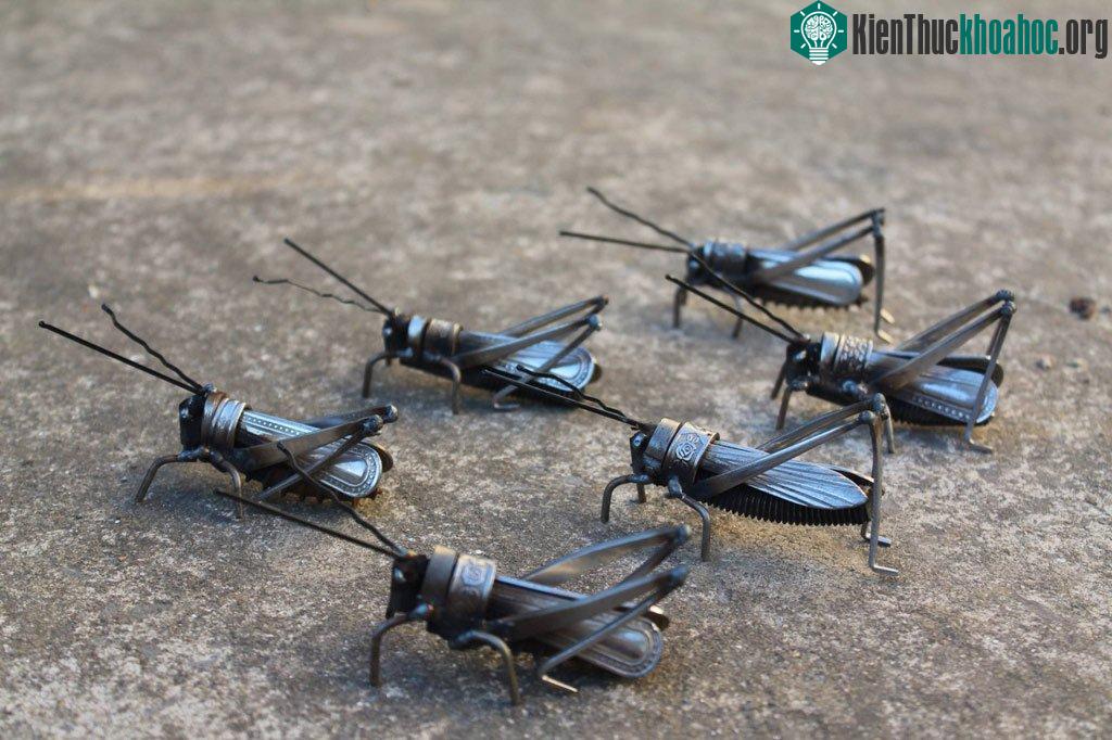 Một đàn dế thì phải?