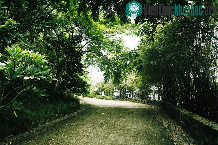 Không chỉ tham quan hoặc dâng hương, du khách còn có cơ hội được đắm mình trong không gian yên tĩnh, tôn nghiêm với không khí trong lành, gió núi mát mẻ và bạt ngàn màu xanh cây cỏ.