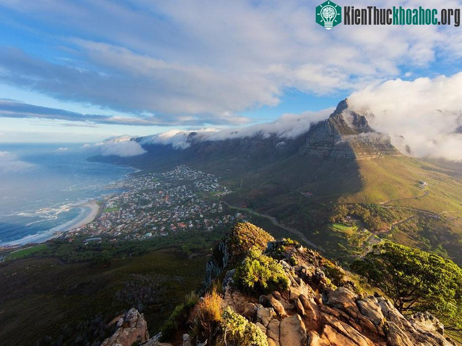 Cả thế giới lần đầu được chiêm ngưỡng vẻ đẹp của Cape Town là vào World Cup 2010. Vùng đất đầy chim cánh cụt, những bãi biển cát trắng, xa xa là dãy núi Table ngoạn mục. Những con đường ven biển từ...