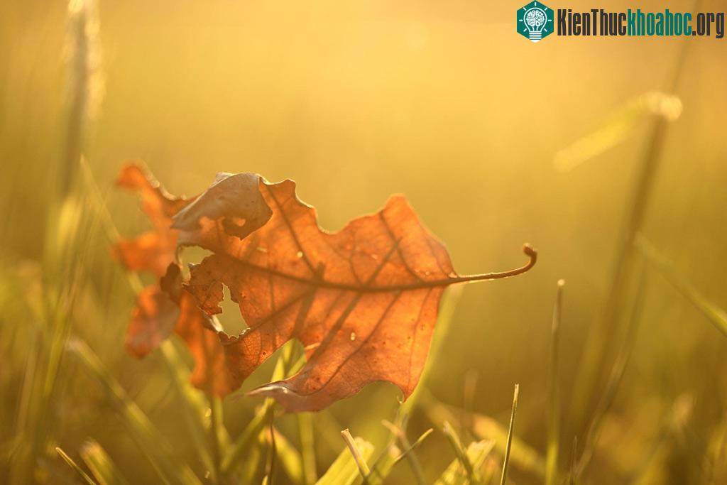 One Day in Autumn by Sabrina Rohwer