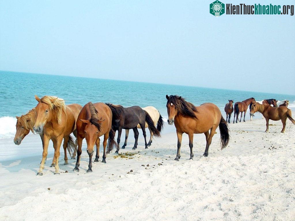 15 kỳ quan thiên nhiên đẹp đến ngỡ ngàng ở Mỹ