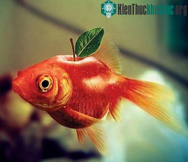 Những hình ảnh ngộ nghĩnh từ động vật và thực vật- ảnh 8
