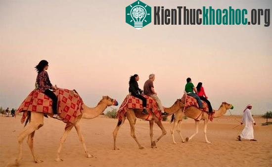 10 Sa mạc lớn trên thế giới