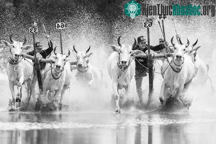 20 hình ảnh tuyệt đẹp về Việt Nam