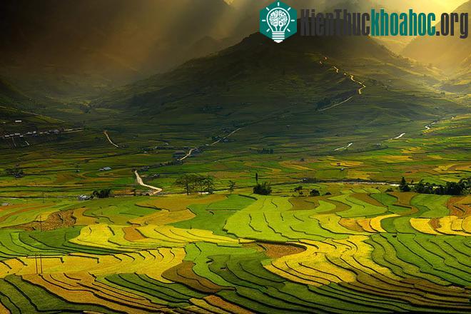 Sững sờ trước những ruộng bậc thang đẹp nhất trên khắp thế giới- ảnh 8