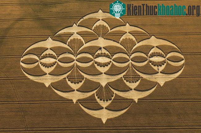 Những vòng tròn bí ẩn trên cánh đồng- ảnh 8
