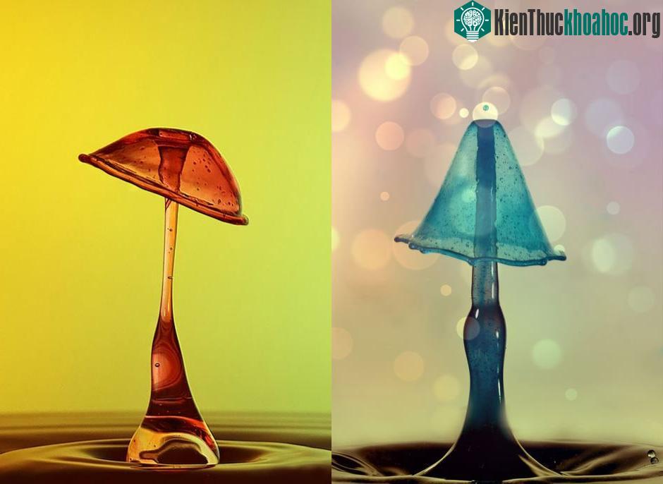Bộ ảnh nghệ thuật độc đáo từ chất lỏng