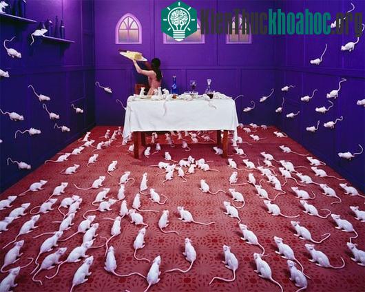 Thế giới thần tiên và những câu chuyện trong ảnh đẹp ngỡ ngàng