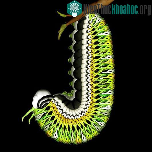 Ảnh nghệ thuật tuyệt đẹp từ người mẫu khỏa thân ảnh 7