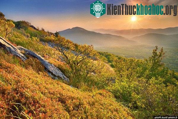 Những bức tranh "mùa thu vàng" tuyệt đẹp ở các nước- ảnh 9