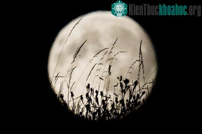 Ngắm siêu trăng đầu tiên của mùa thu 2015