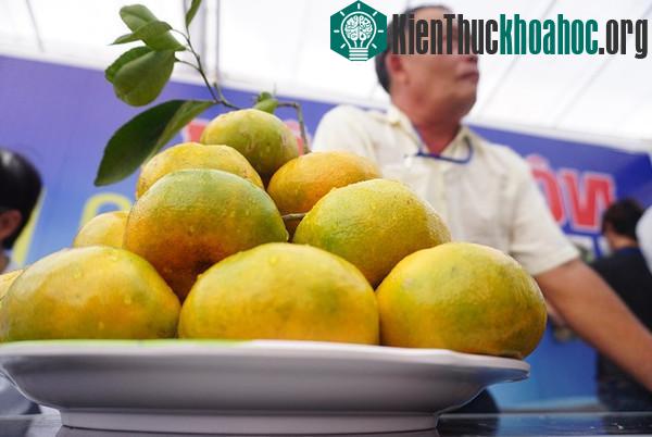 Nông dân "trình diễn" sản phẩm tại chợ khoa học