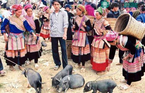 Phiên chợ vùng cao - Bắc Hà