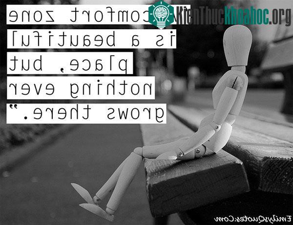 9. “Nơi thuận tiện thường dễ chịu nhưng khó có những điều tốt đẹp nảy sinh" - Khuyết danh