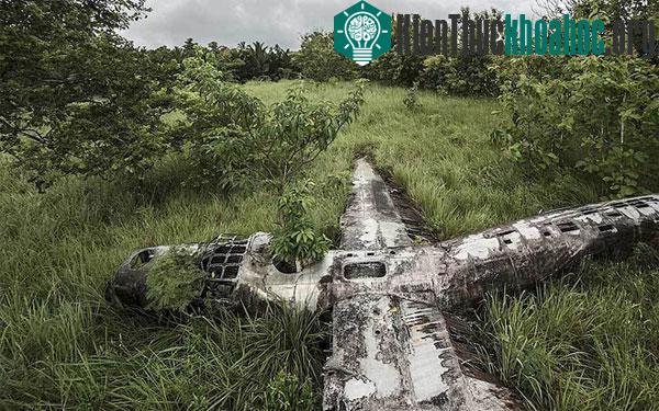 Oanh tạc cơ B24 Liberator của Mỹ rơi xuống một cánh rừng ở Papua New Guinea năm 1943. Xác máy bay nằm trên những đám cỏ. 9 phi công đều sống sót.