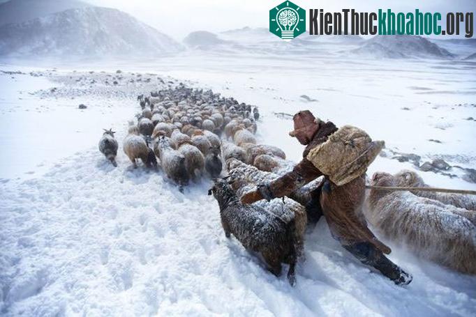 "Dân du mục Mongolia" của nhiếp ảnh gia&nbsp;Tariq Sawyer.&nbsp;(Ảnh: National Geographic)