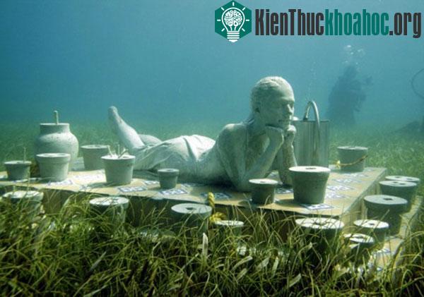Một góc của tác phẩm “Sự tiến hóa thầm lặng”.