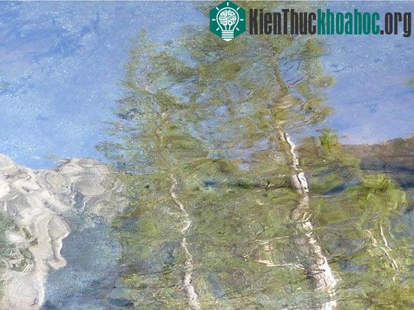 Bức ảnh "Ấn tượng về Yosemite" được nhiếp ảnh gia Claire Onions chụp tại Yosemite, California. Bức ảnh giúp nhiếp ảnh gia giành giải "Ảnh phong cảnh chuyển động xuất sắc nhất".