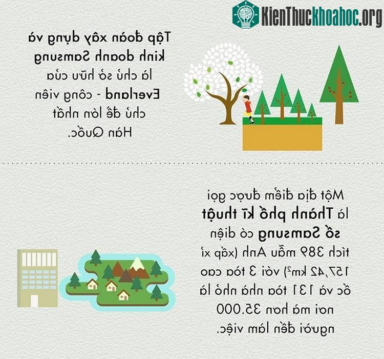 Samsung còn là chủ sở hữu của công viên chủ đề lớn nhất Hàn Quốc.