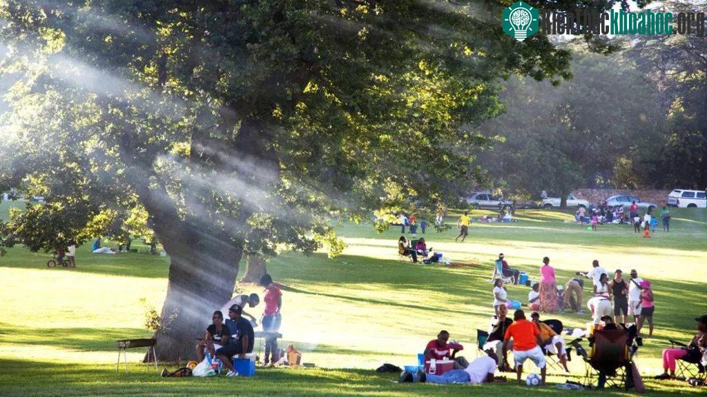 Johannesburg có khí hậu ôn hòa nhất nước. (Ảnh: Alamy)