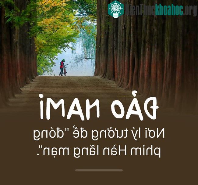Đảo Nami là nơi lý tưởng để đóng phim Hàn lãng mạn.