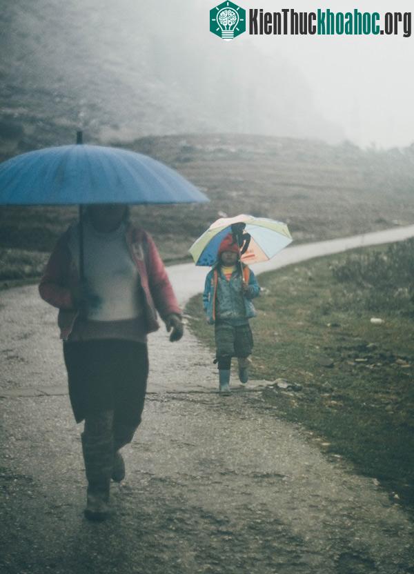 Em nhỏ theo mẹ đi mưu sinh. Đường sá trơn trượt, cây cối bị tuyết bám đổ xuống đường, dưới cái lạnh dưới 0 độ khiến cho công cuộc mưu sinh trở nên khắc nghiệt hơn bao giờ hết