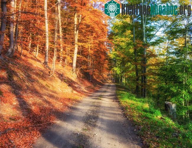 100 bức ảnh "đẹp khó tin" chưa từng qua photoshop (phần 4)- ảnh 9