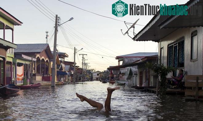 Những hình ảnh khó quên về thảm họa môi trường 2015