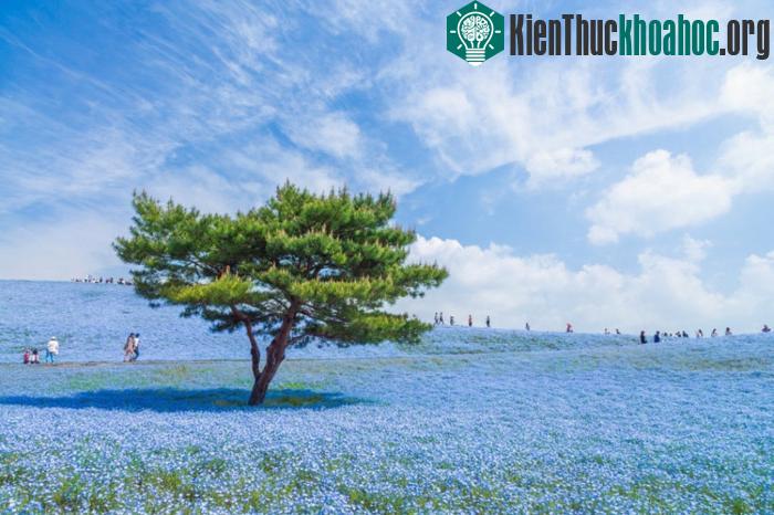 100 bức ảnh "đẹp khó tin" chưa từng qua photoshop- ảnh 9