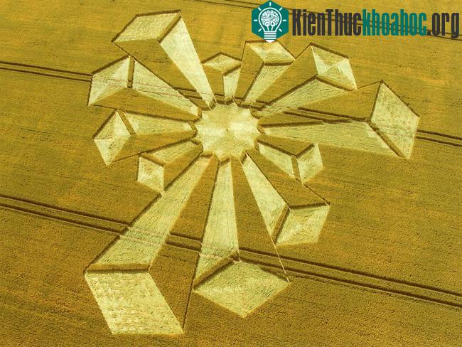 Những vòng tròn bí ẩn trên cánh đồng- ảnh 9