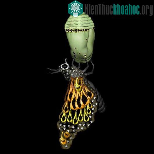 Ảnh nghệ thuật tuyệt đẹp từ người mẫu khỏa thân ảnh 8