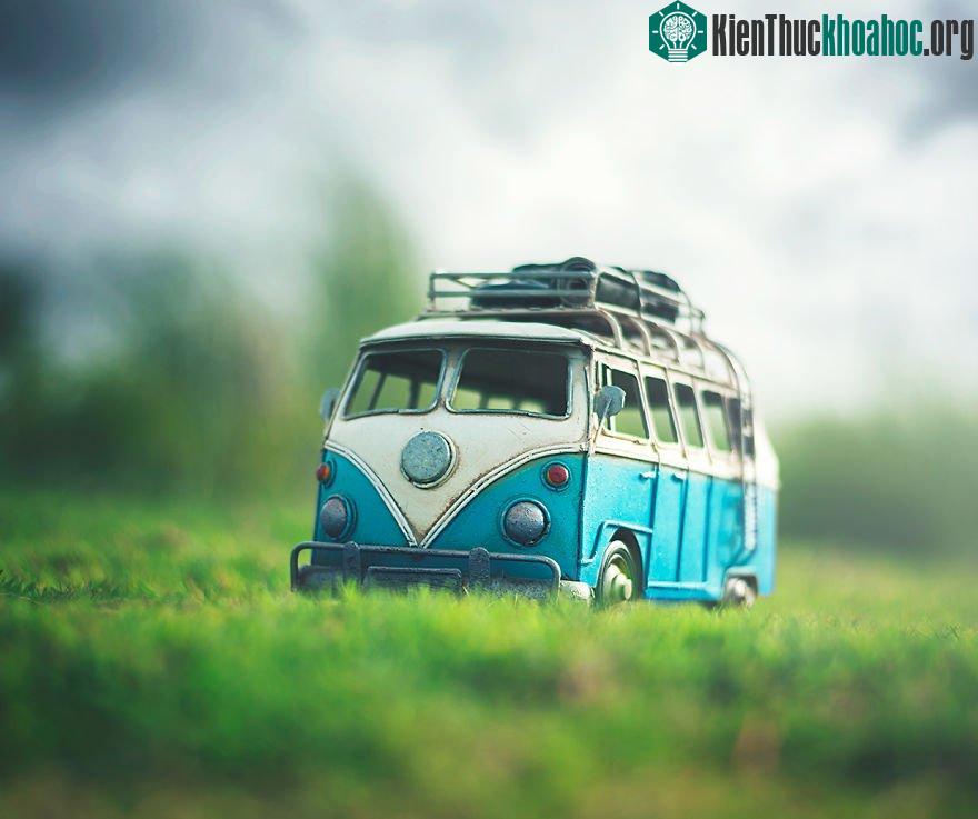Trước cơn bão